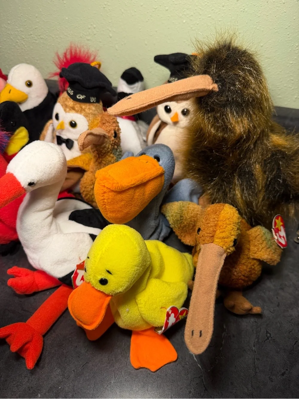 Ty Beanie Babies Bird and Graduation Owl Collection